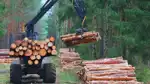 Skogsindustri
